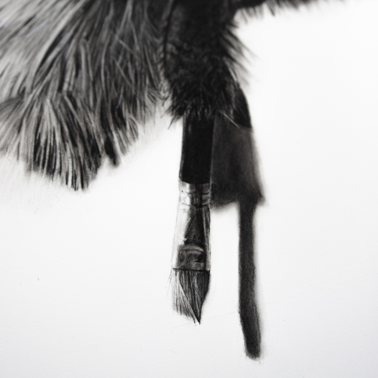 Charcoal Animal Art by Rob and Georgia Harris