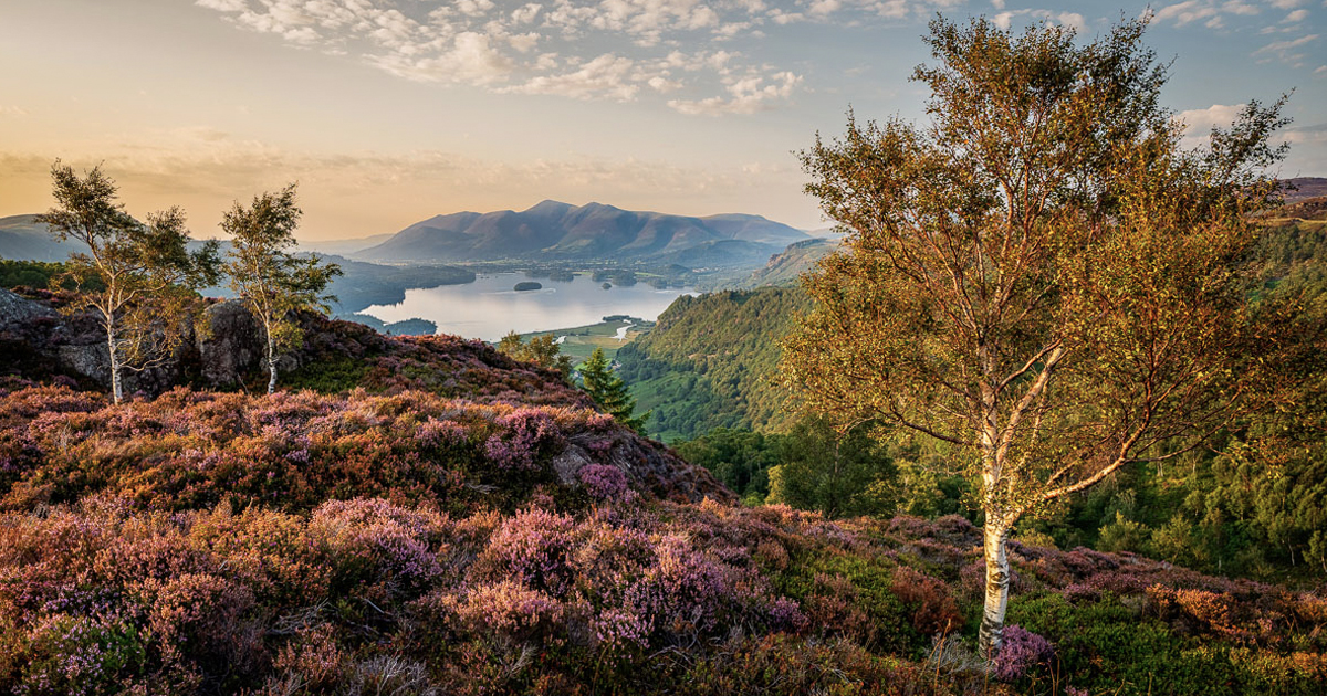 Visually Stunning Vista Wins the 19th International Garden Photographer of the Year