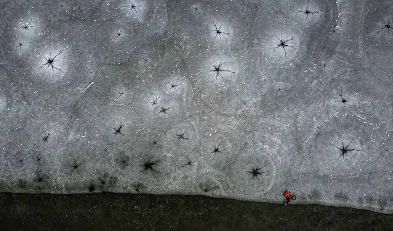 All About Photo Award Winners