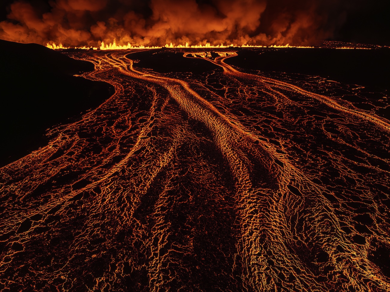 All About Photo Award Winners