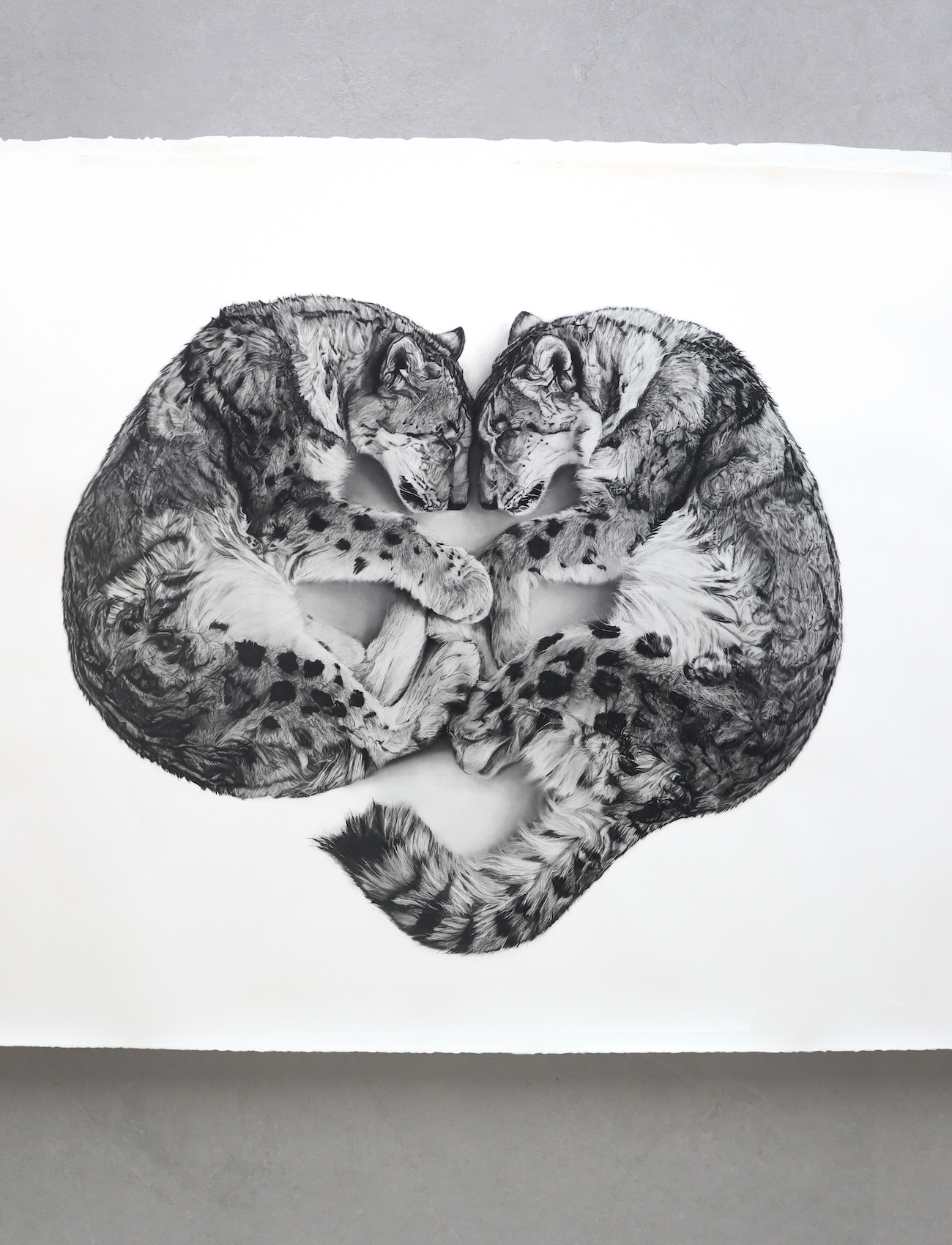 Charcoal Animal Art by Rob and Georgia Harris