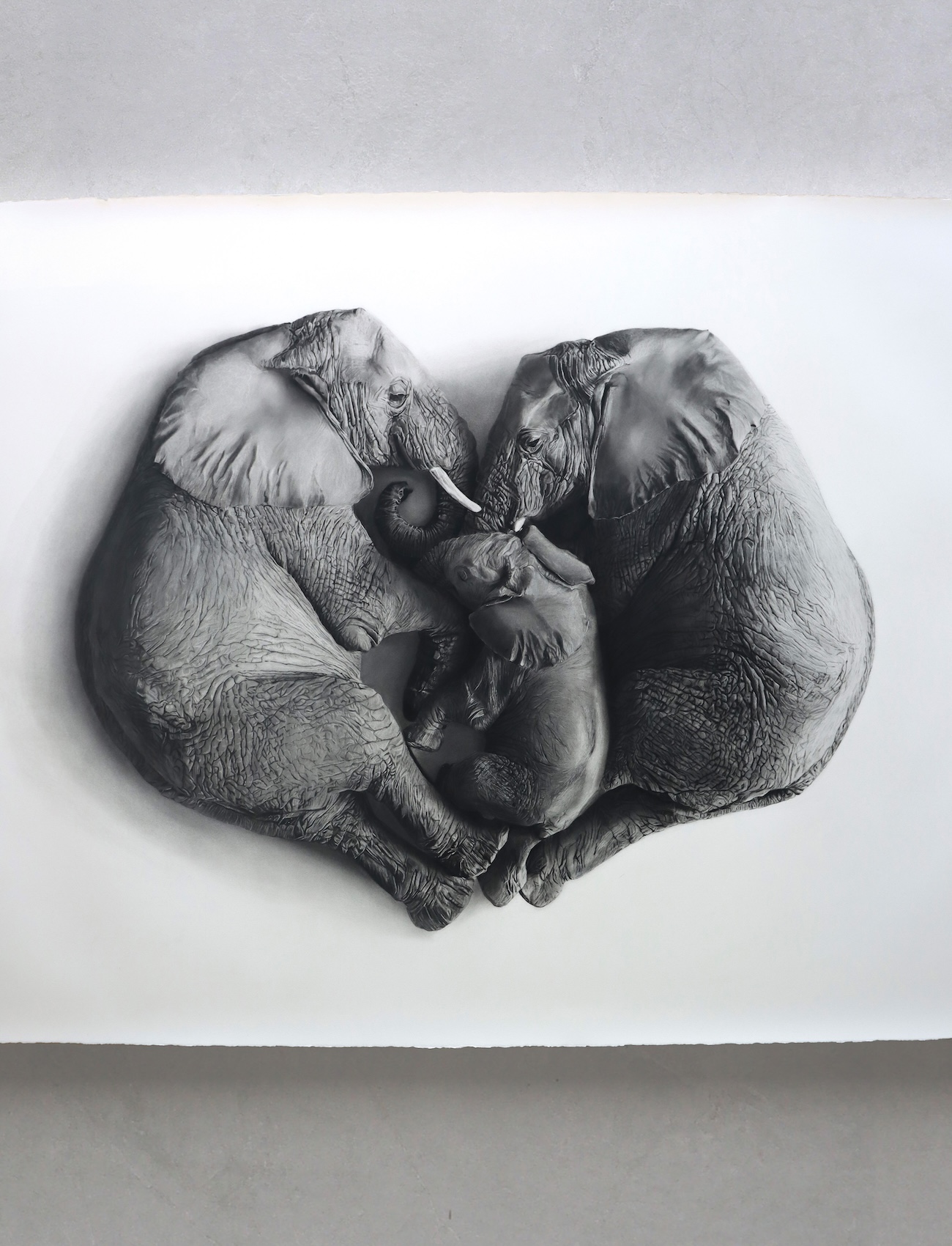 Charcoal Animal Art by Rob and Georgia Harris