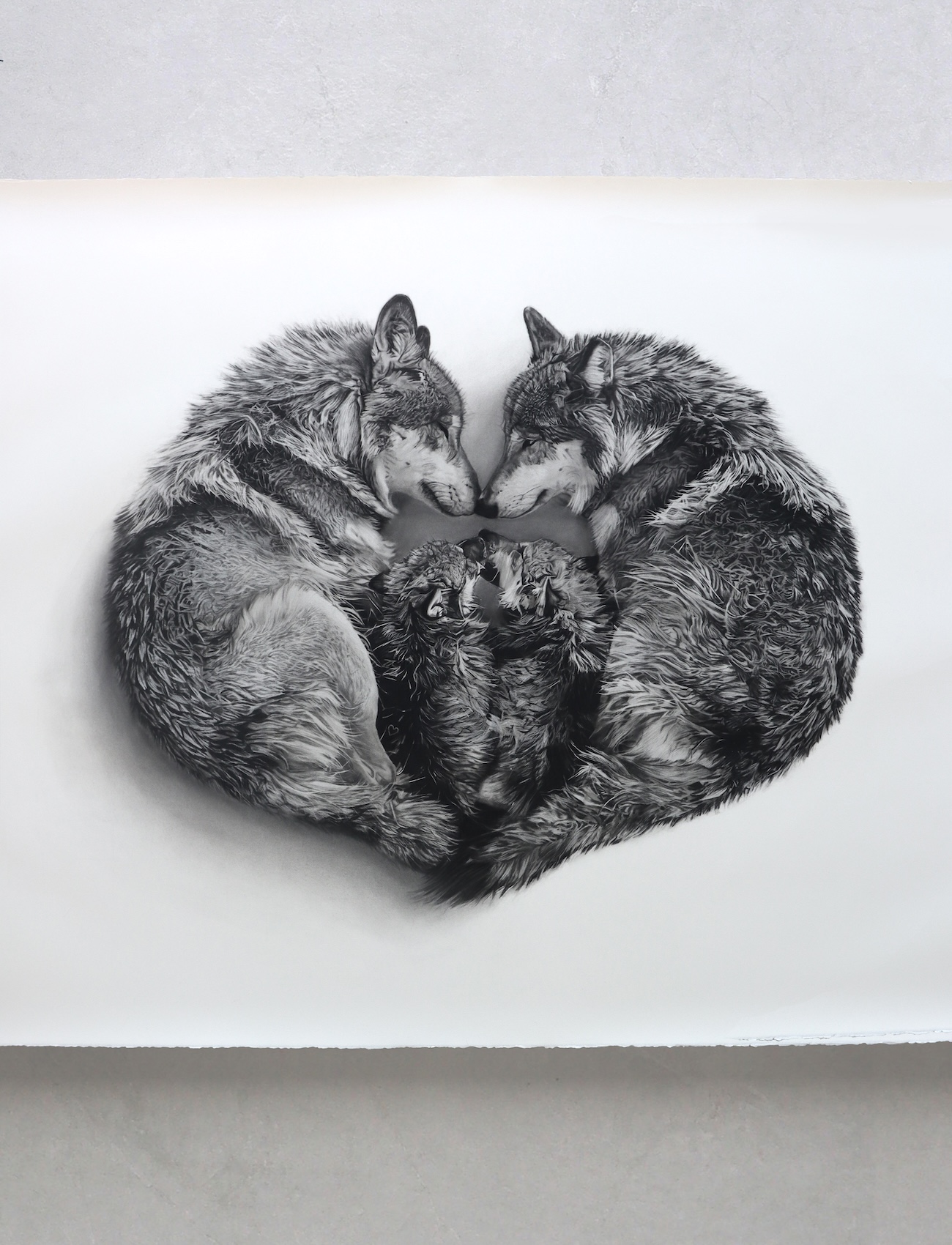 Charcoal Animal Art by Rob and Georgia Harris