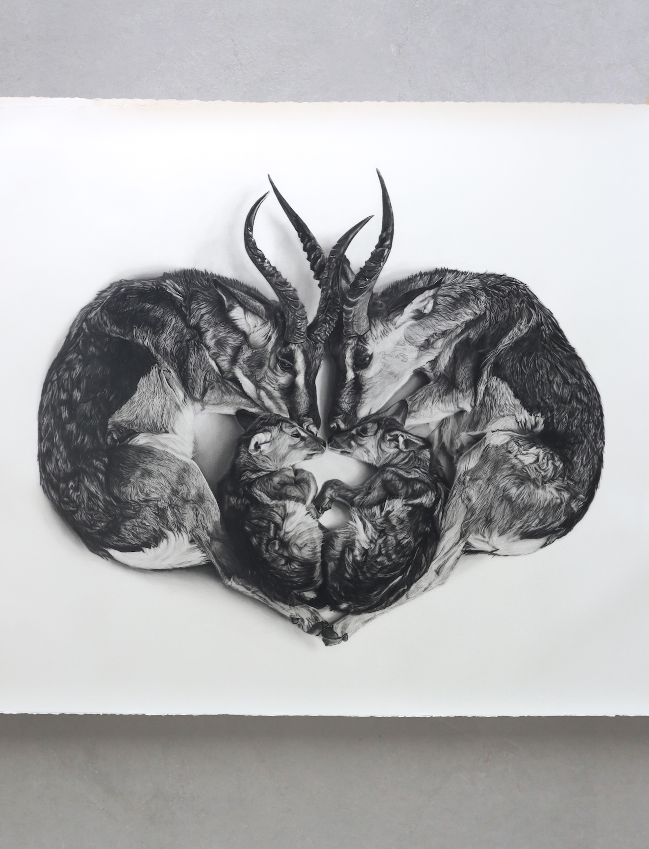 Charcoal Animal Art by Rob and Georgia Harris