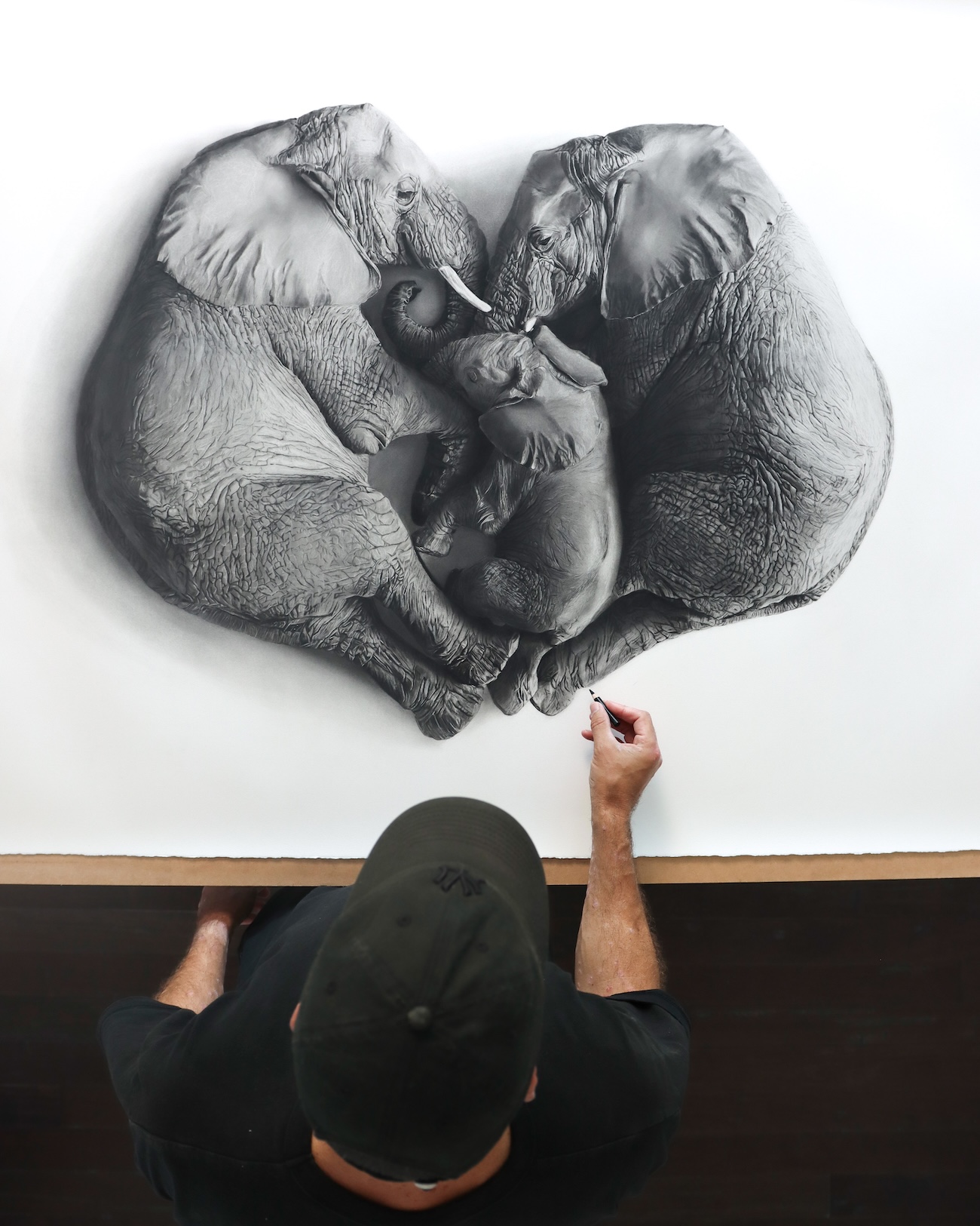 Charcoal Animal Art by Rob and Georgia Harris