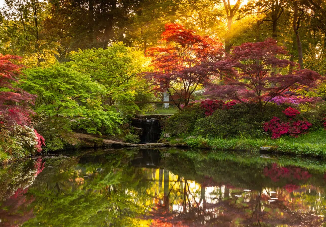 International Garden Photographer of the Year