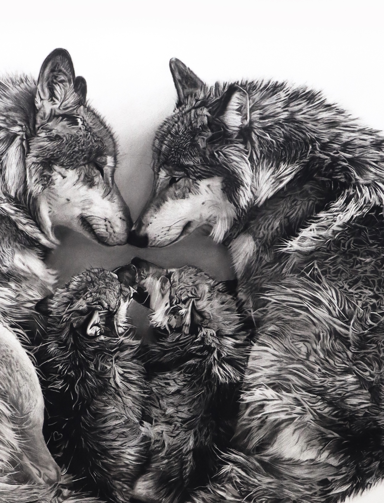 Charcoal Animal Art by Rob and Georgia Harris