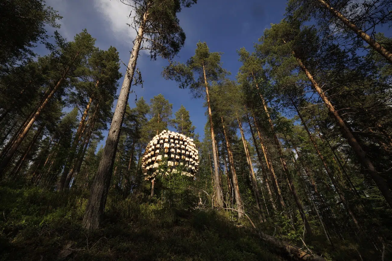 Biosphere Room at Treehotel