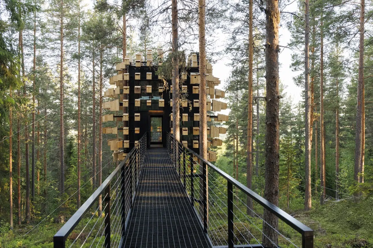Biosphere Room at Treehotel