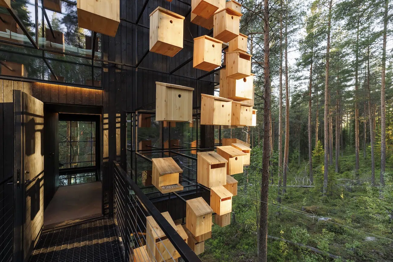 Biosphere Room at Treehotel