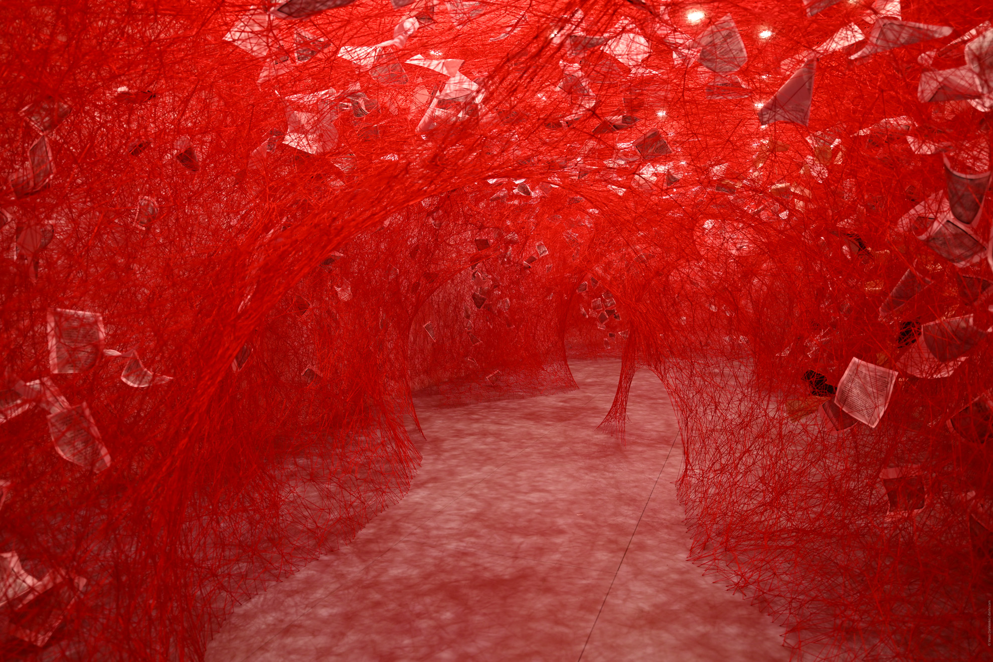 Installation view of &ldquo;Two Home Countries&rdquo; at Japan Society Gallery in New York, 2025