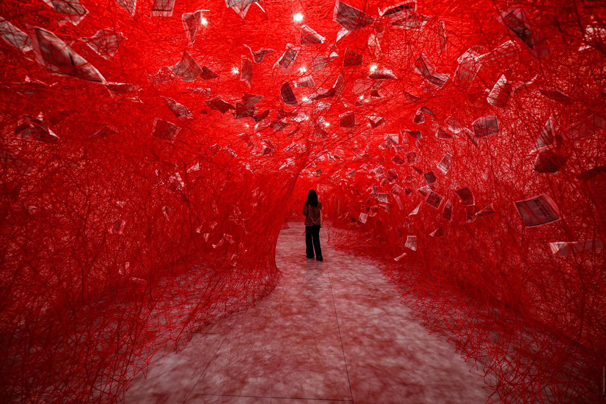 Installation view of &ldquo;Two Home Countries&rdquo; at Japan Society Gallery in New York, 2025