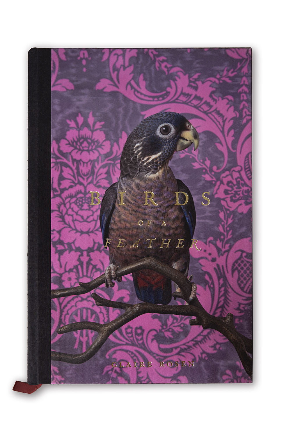 Book cover for &ldquo;Claire Rosen: Birds of a Feather,&rdquo; published by Warwick Editions in December 2025