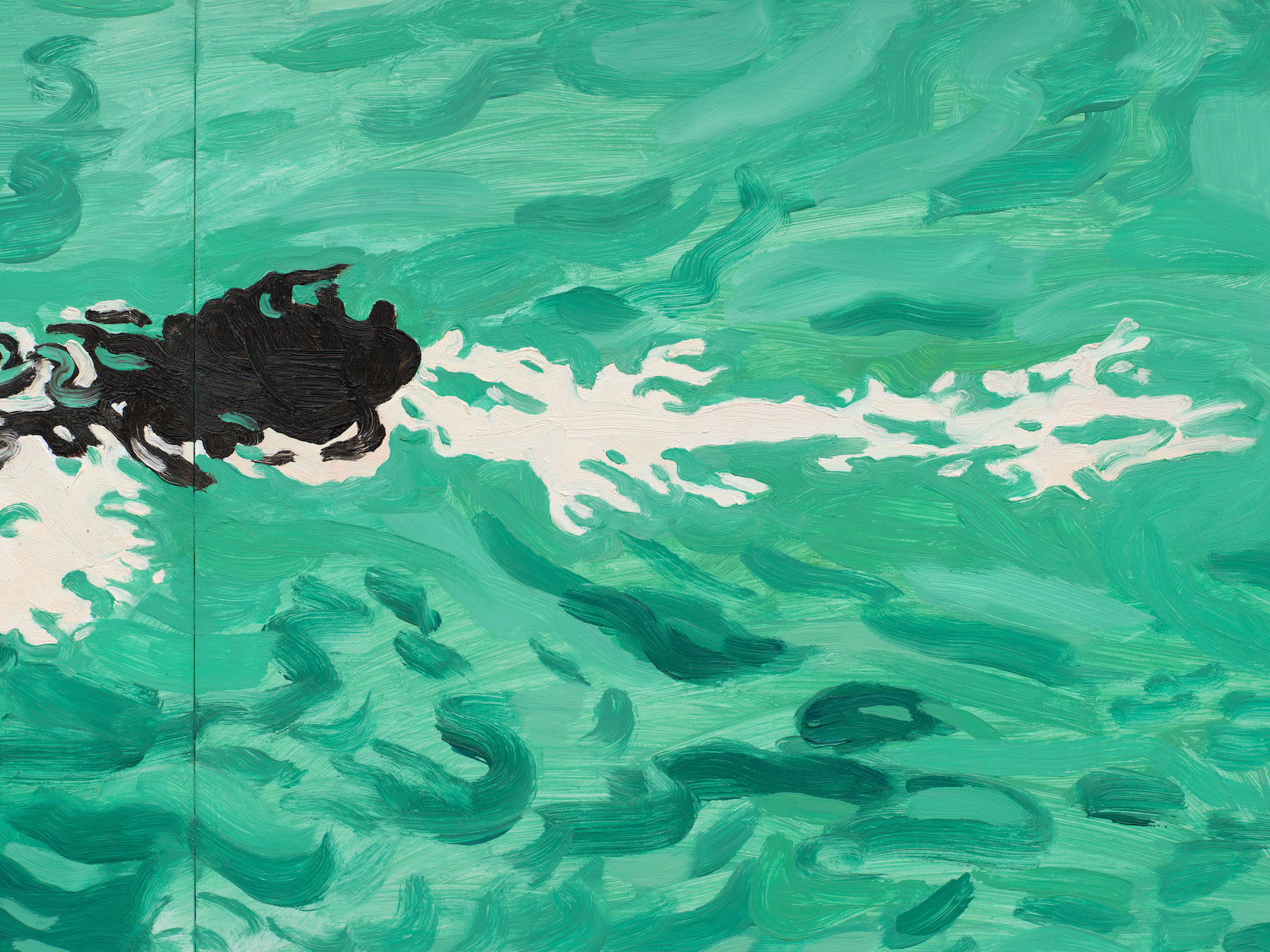 Detail, &ldquo;River swimmer,&rdquo; 2025.