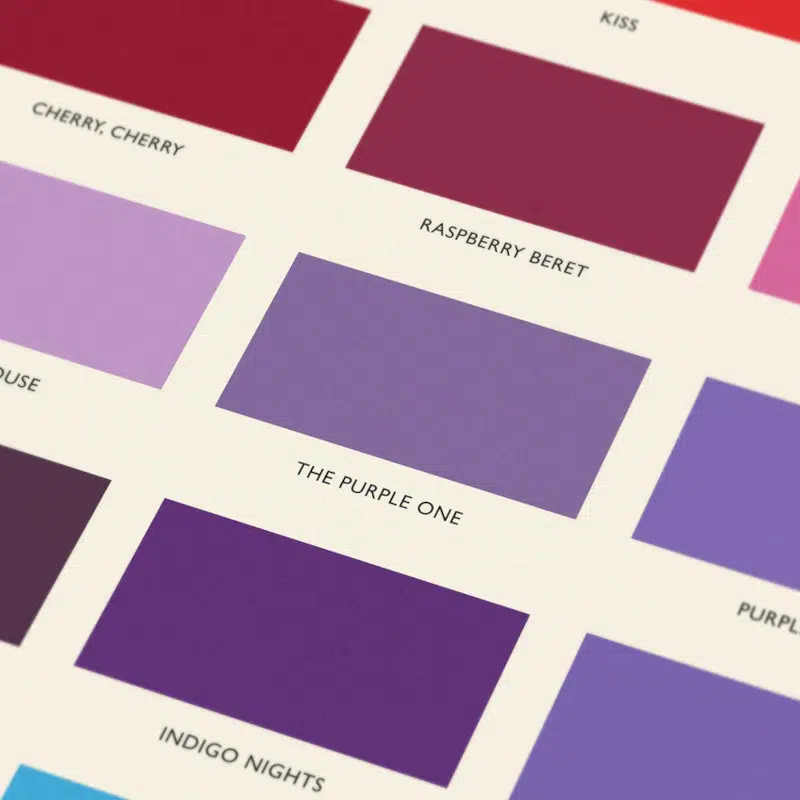 Colors of Prince poster by Dorothy