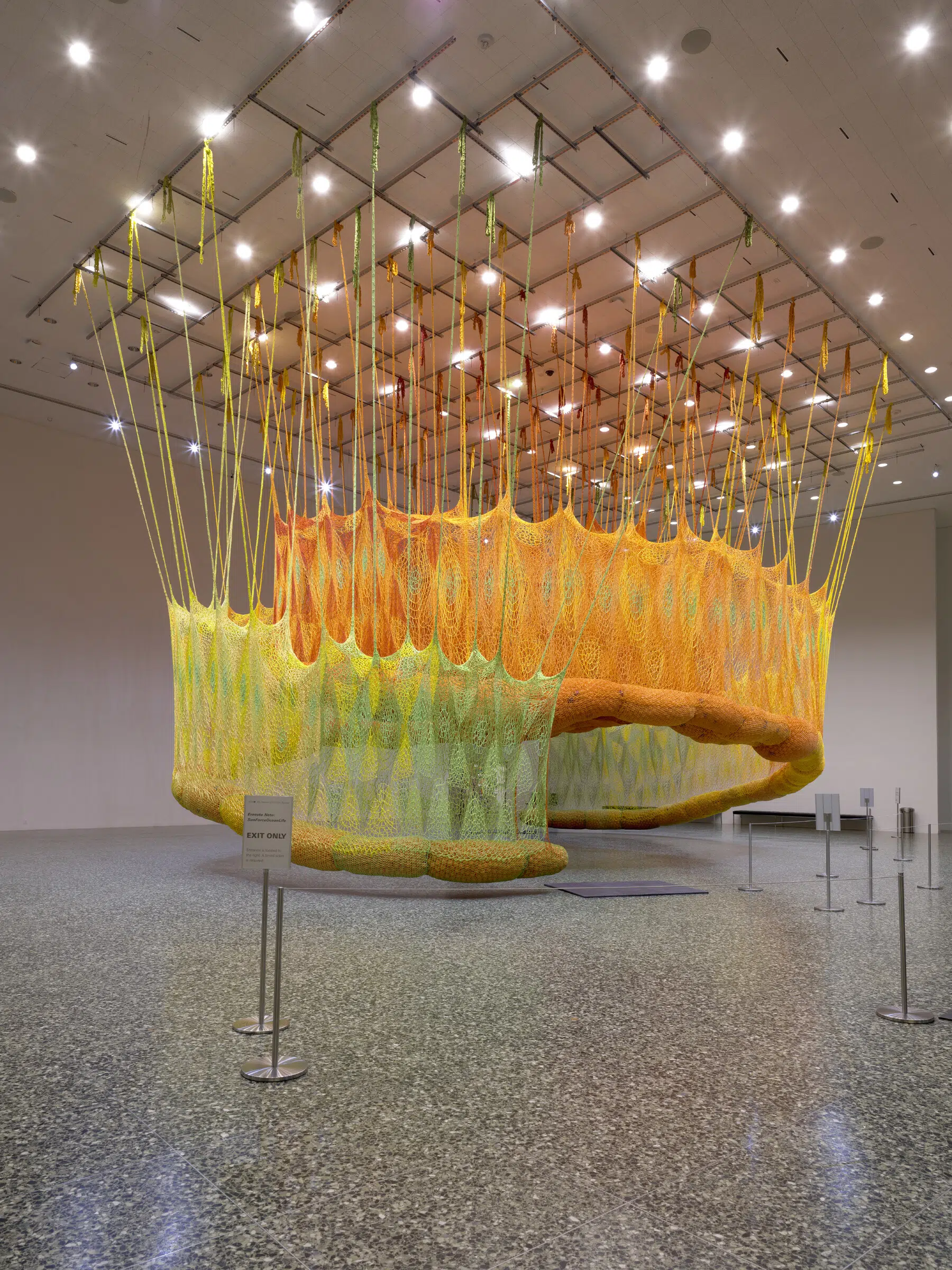 Installation view of “SunForceOceanLife” at the Museum of Fine Art, Houston, in 2020