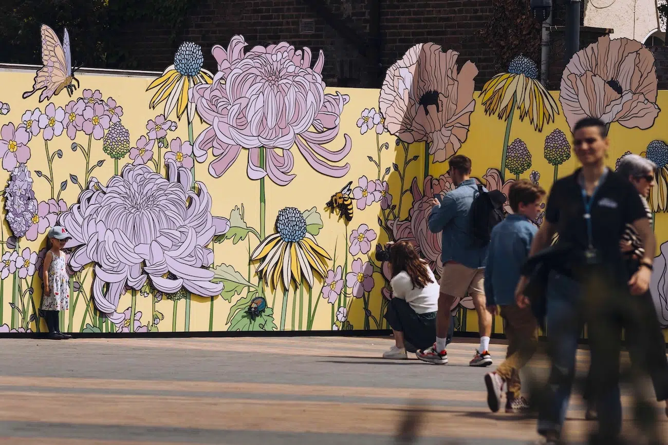 Graphic Rewilding Interview