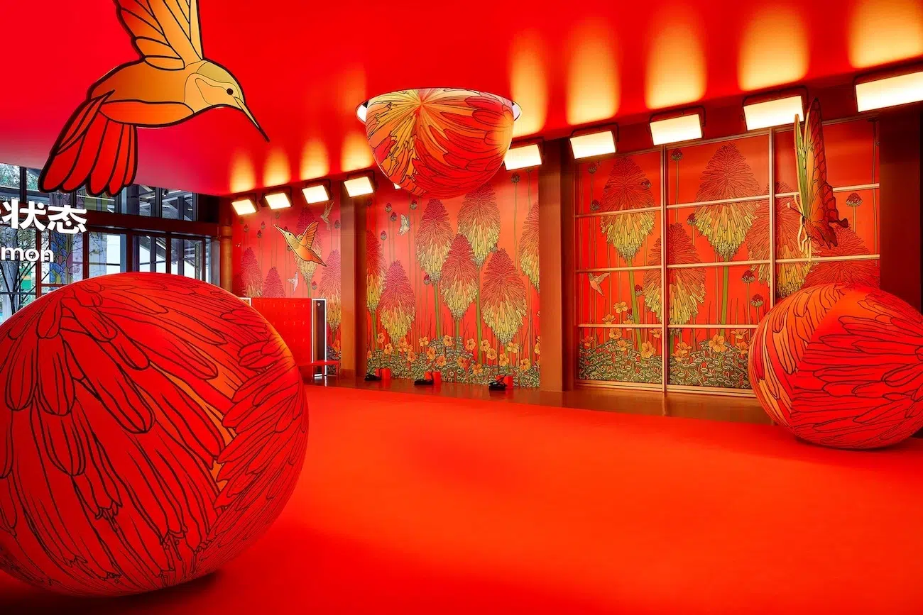 Graphic Rewilding Interview