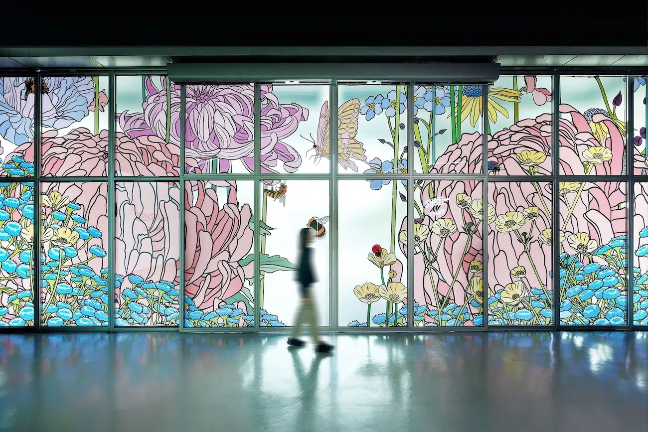 Graphic Rewilding Interview