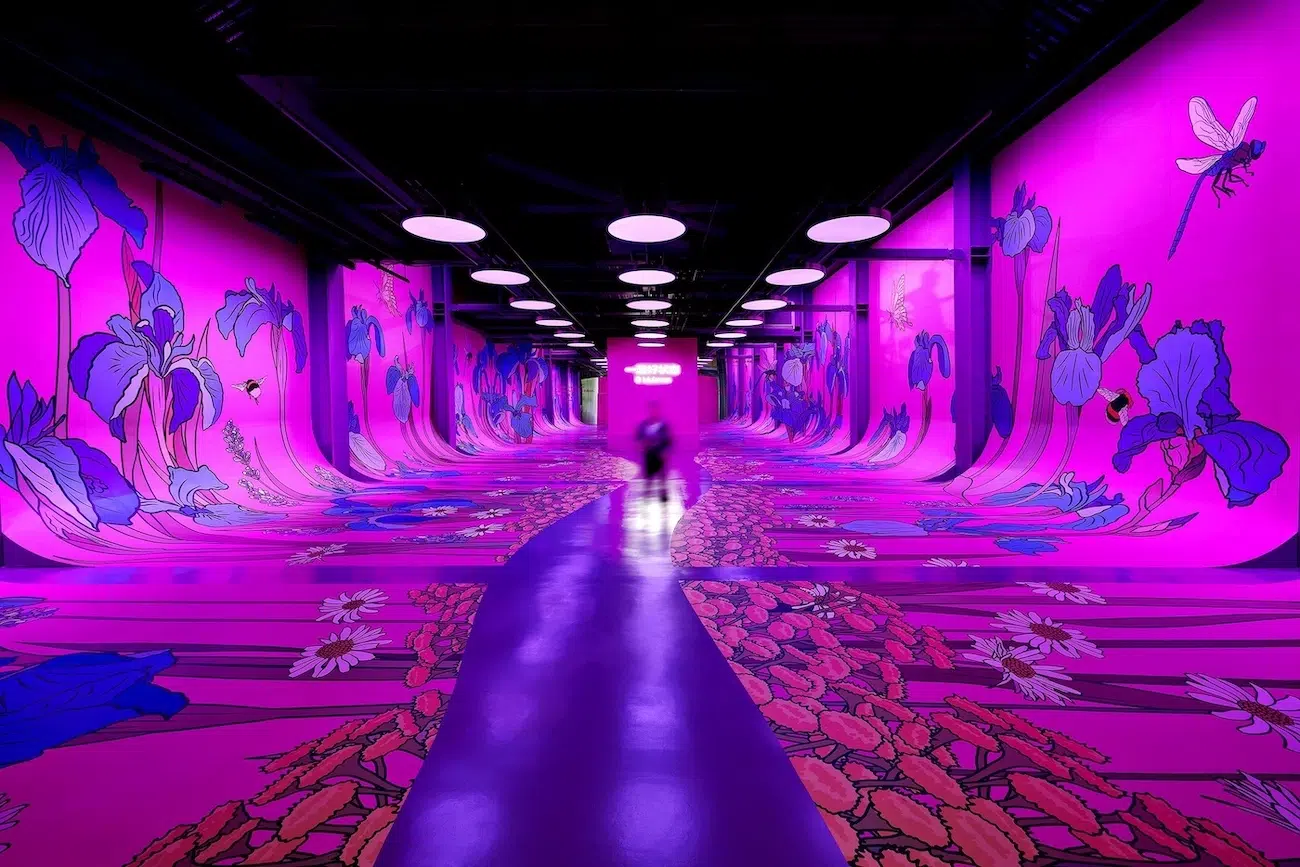 Graphic Rewilding Interview