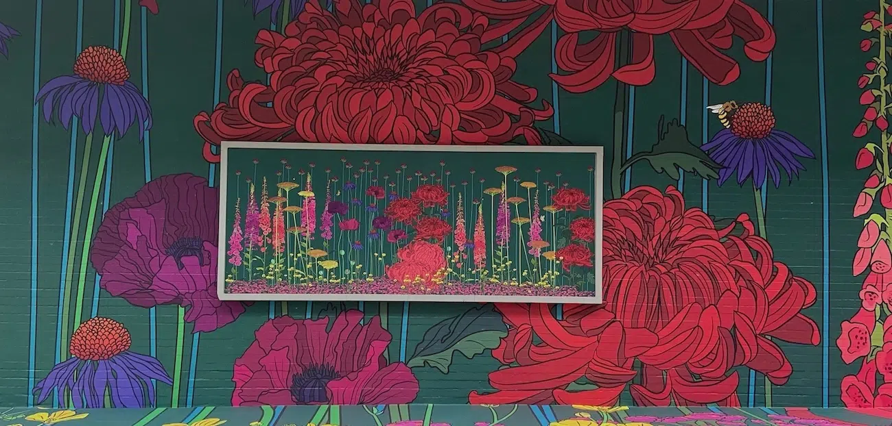 Graphic Rewilding Interview