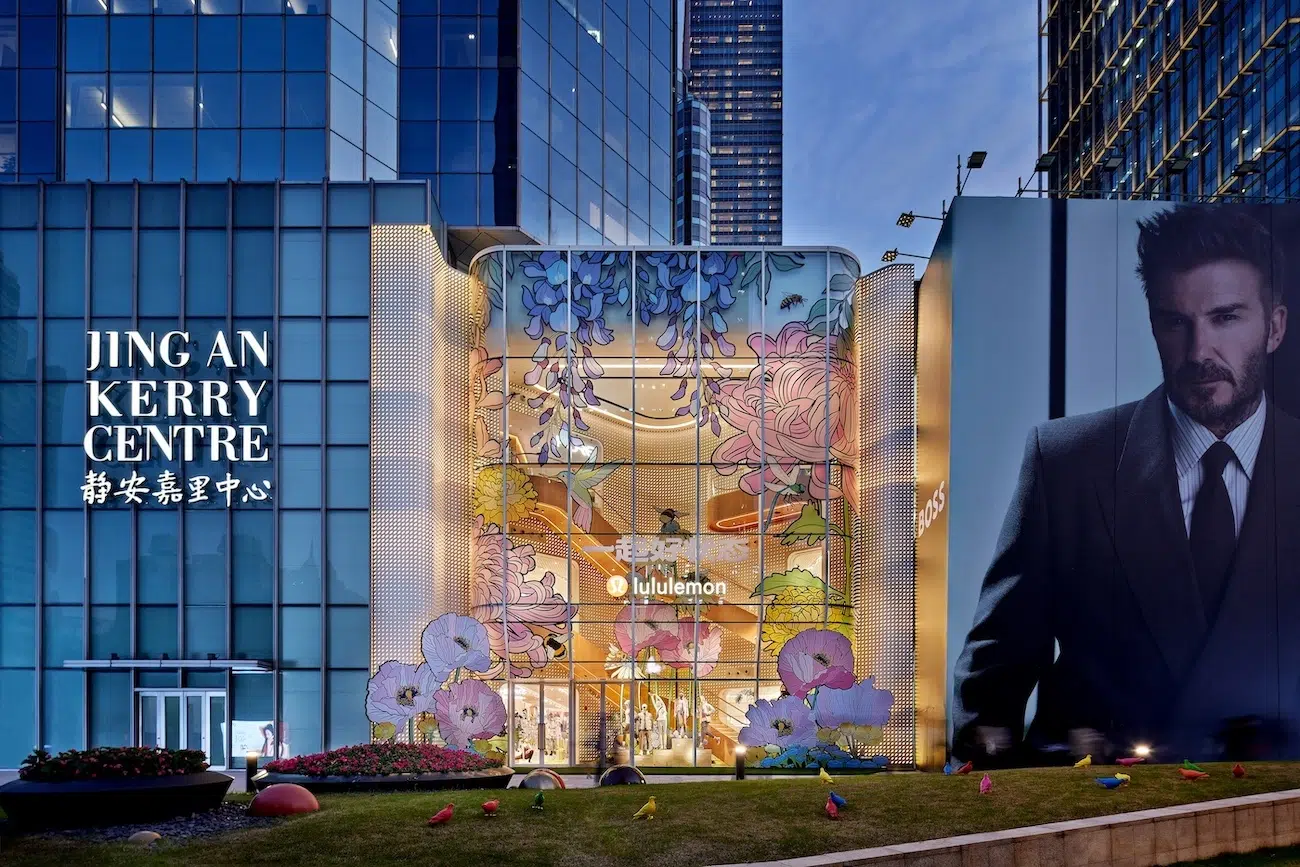 Graphic Rewilding Interview