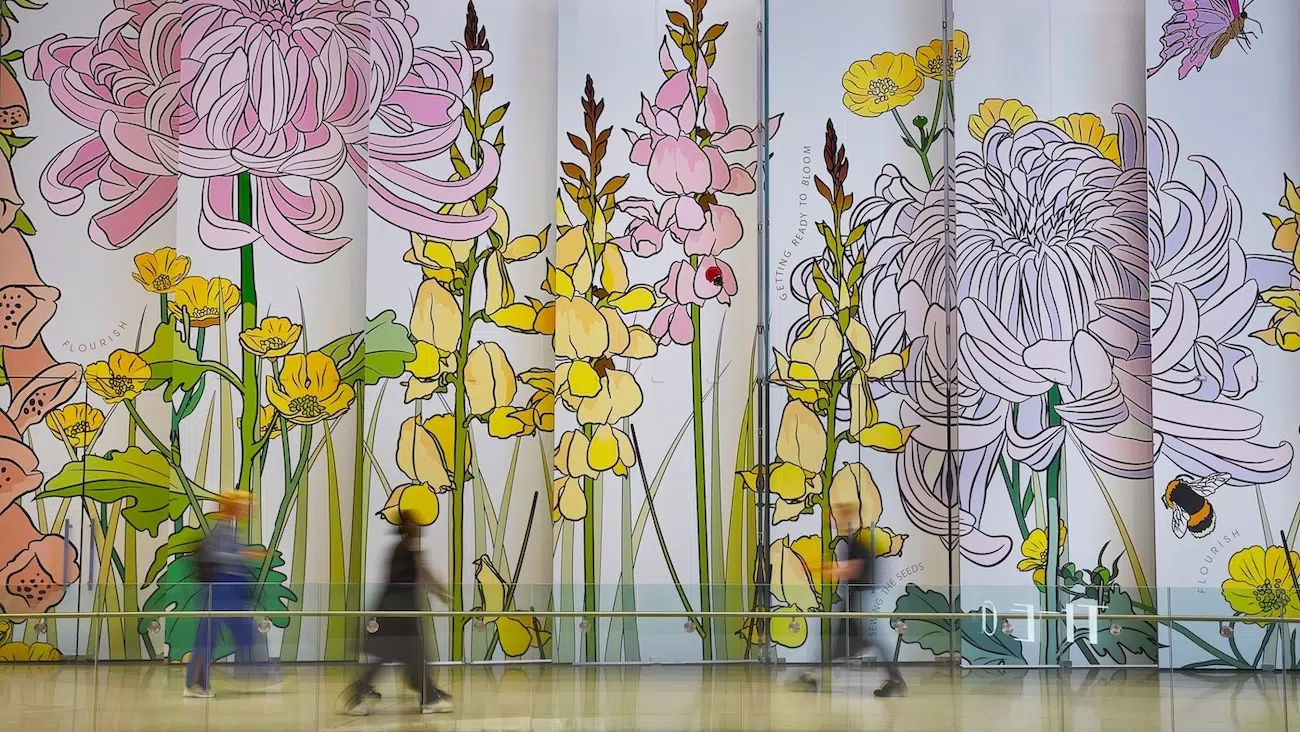 Graphic Rewilding Interview