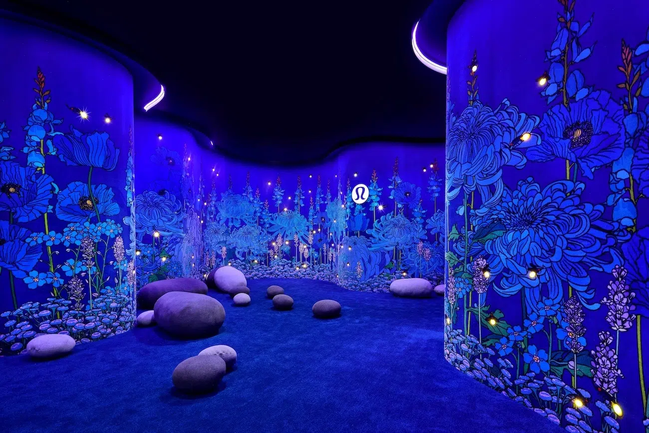 Graphic Rewilding Interview