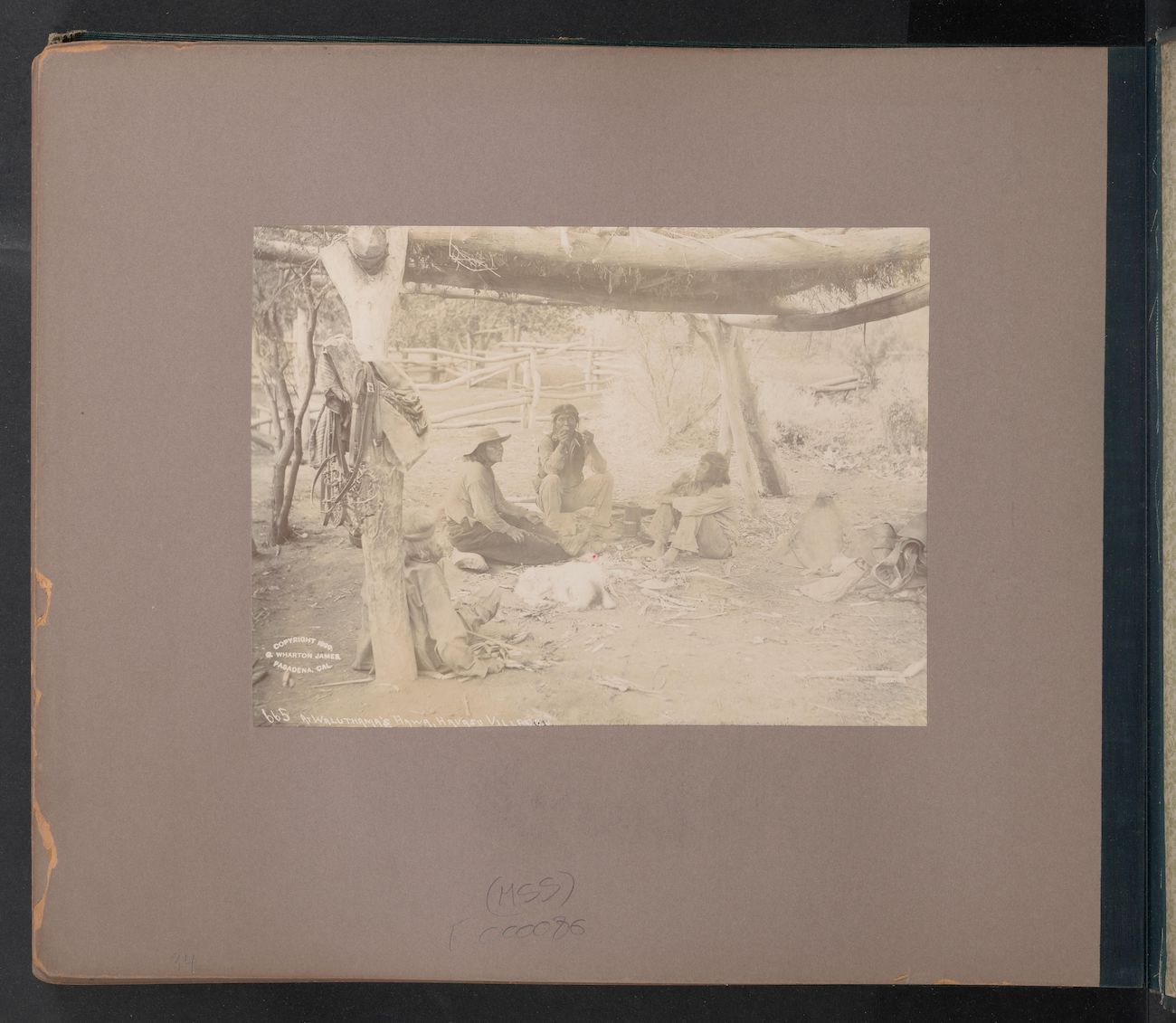 Photographs of the Havasupai Tribe