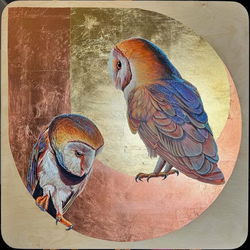 Marie Lavallee Interview