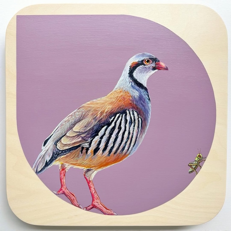 Marie Lavallee Interview