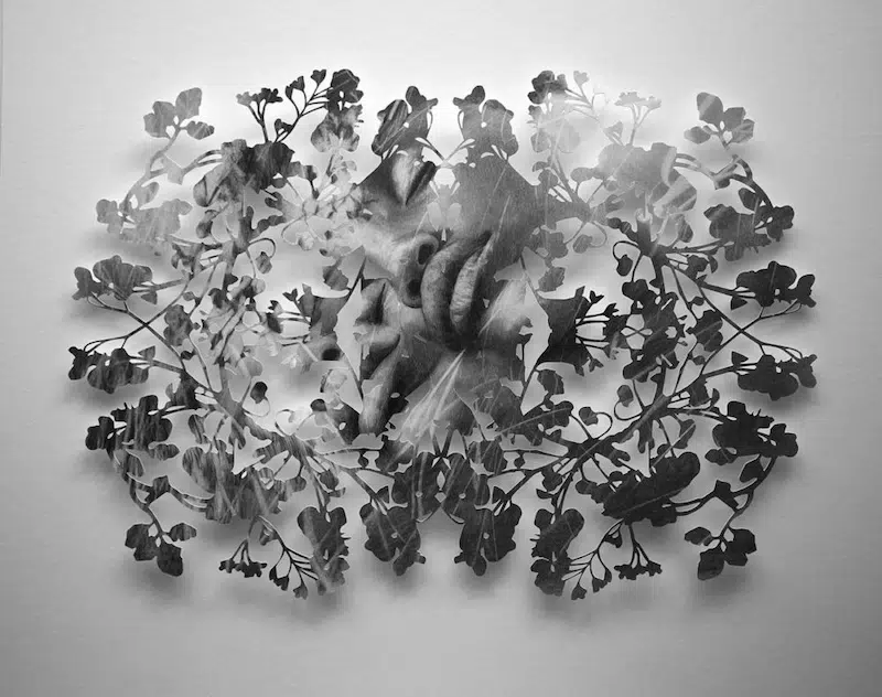 Cut Paper Portraits by Christine Kim