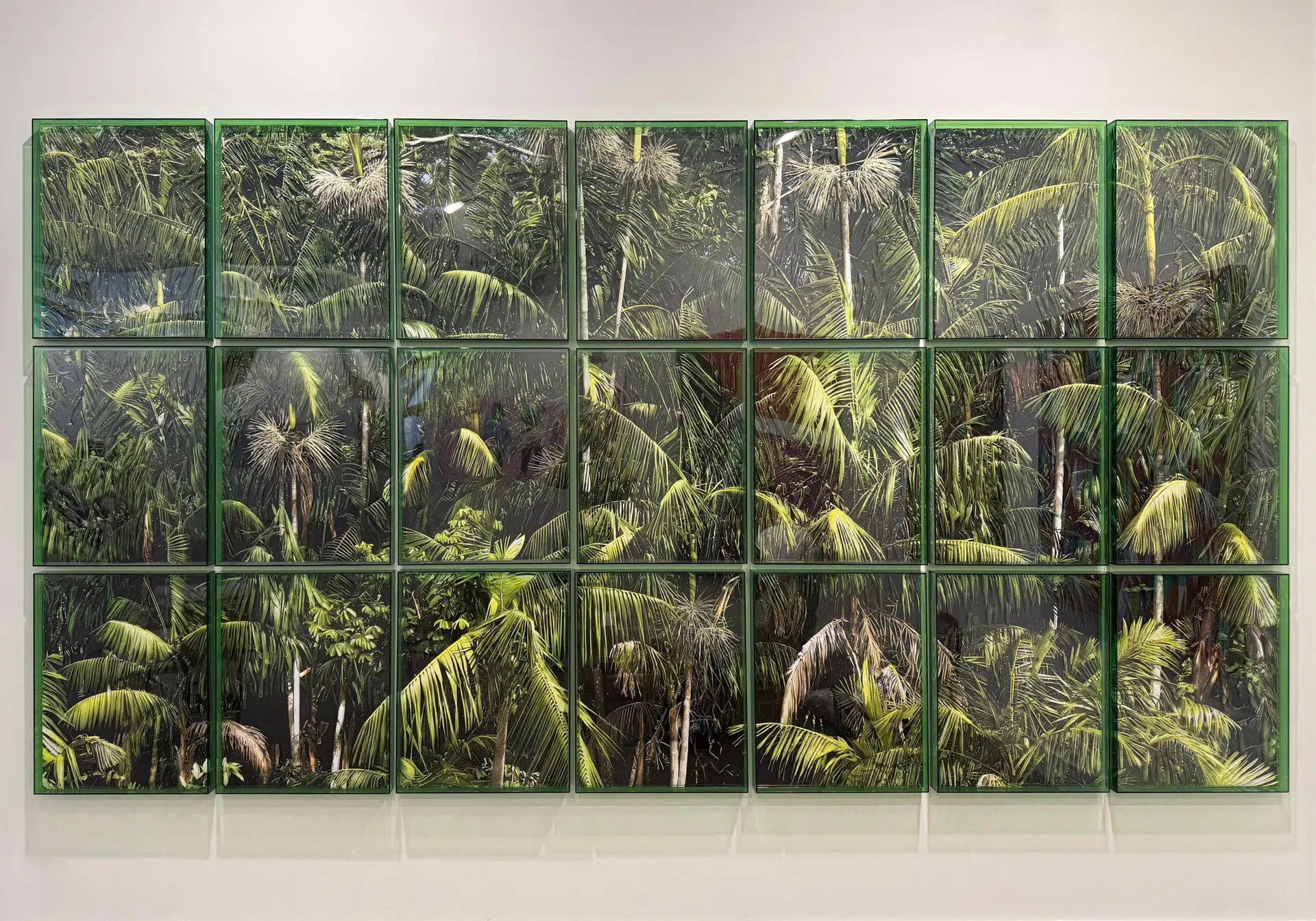 Alessandra Rehder, “Amazonia,” 2025. Cut photographs overlapped and elevated through pinning framed in green acrylic