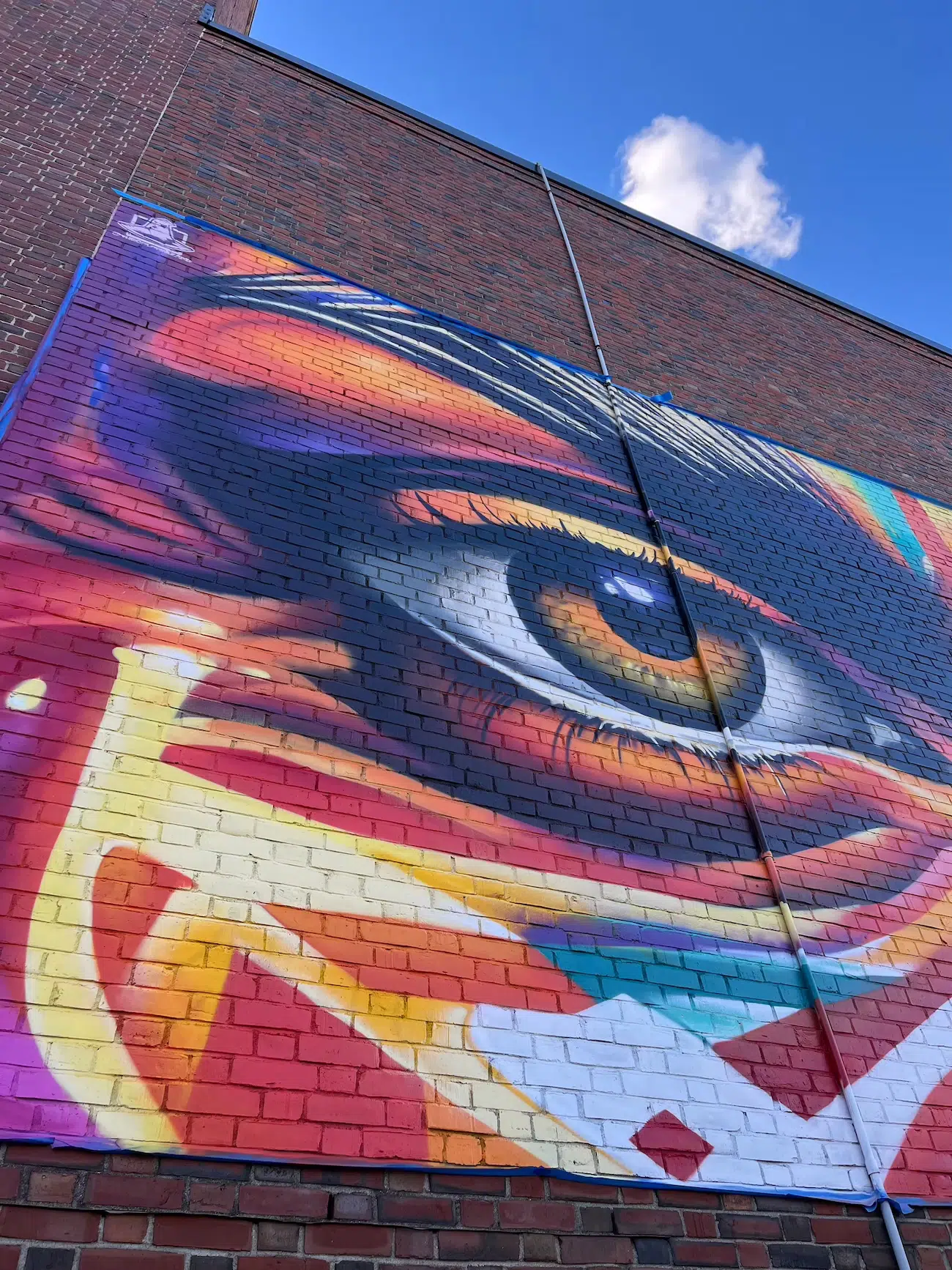 Mural by The Color Wizard