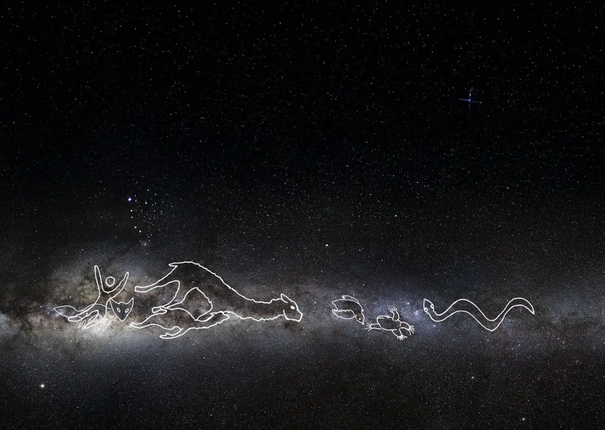 Tomas Saraceno When the Llama Drinks from the Stars and the Spider Weaves Cycles of Life, Where the Sky Touches the Earth and Time Expands Like Salt, the Sanctuary of Water Are Fair Clouds on the Horizon, 2025. © Photography by Studio Tomás Saraceno