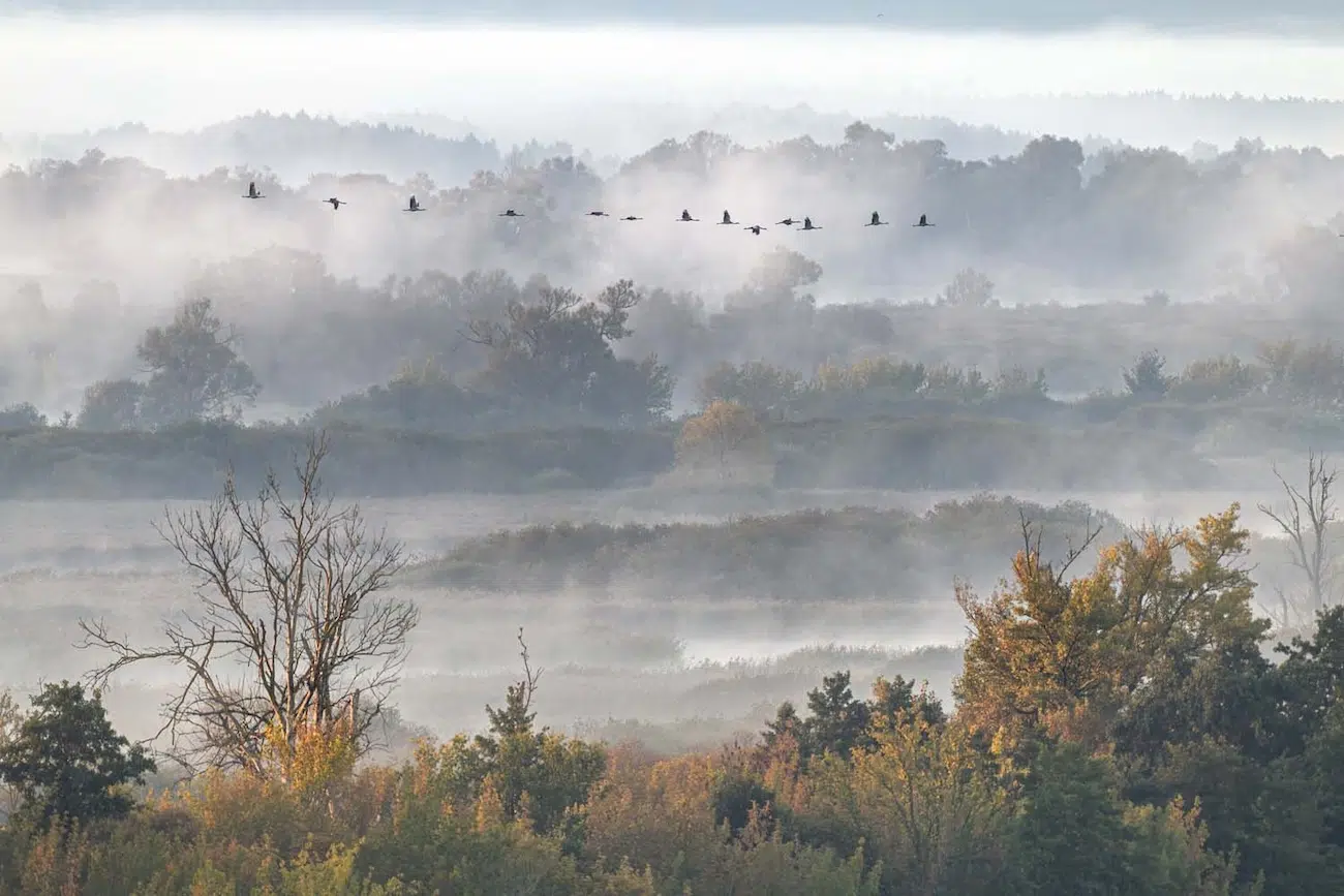 GDT Nature Photographer of the Year 2026