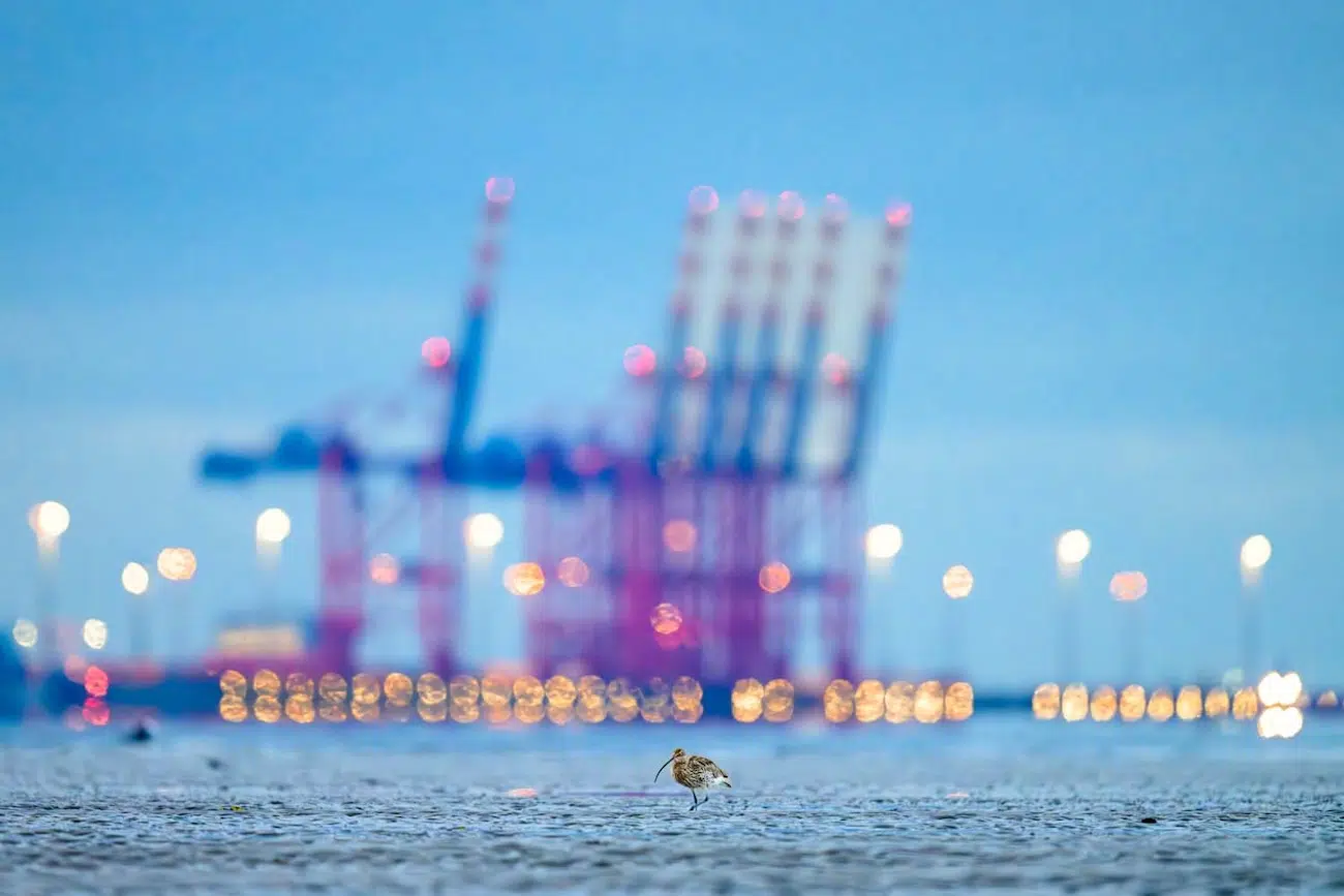 GDT Nature Photographer of the Year 2026