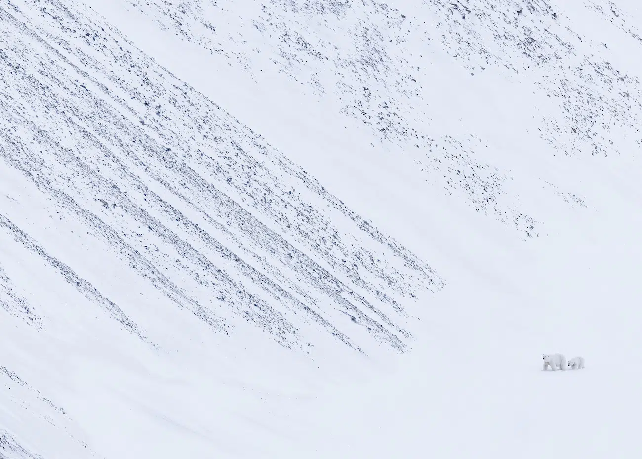 &ldquo;The Explorers&rdquo; by Panos Laskarakis. Runner-Up, Polar Regions, 2026 Environmental Photography Award.