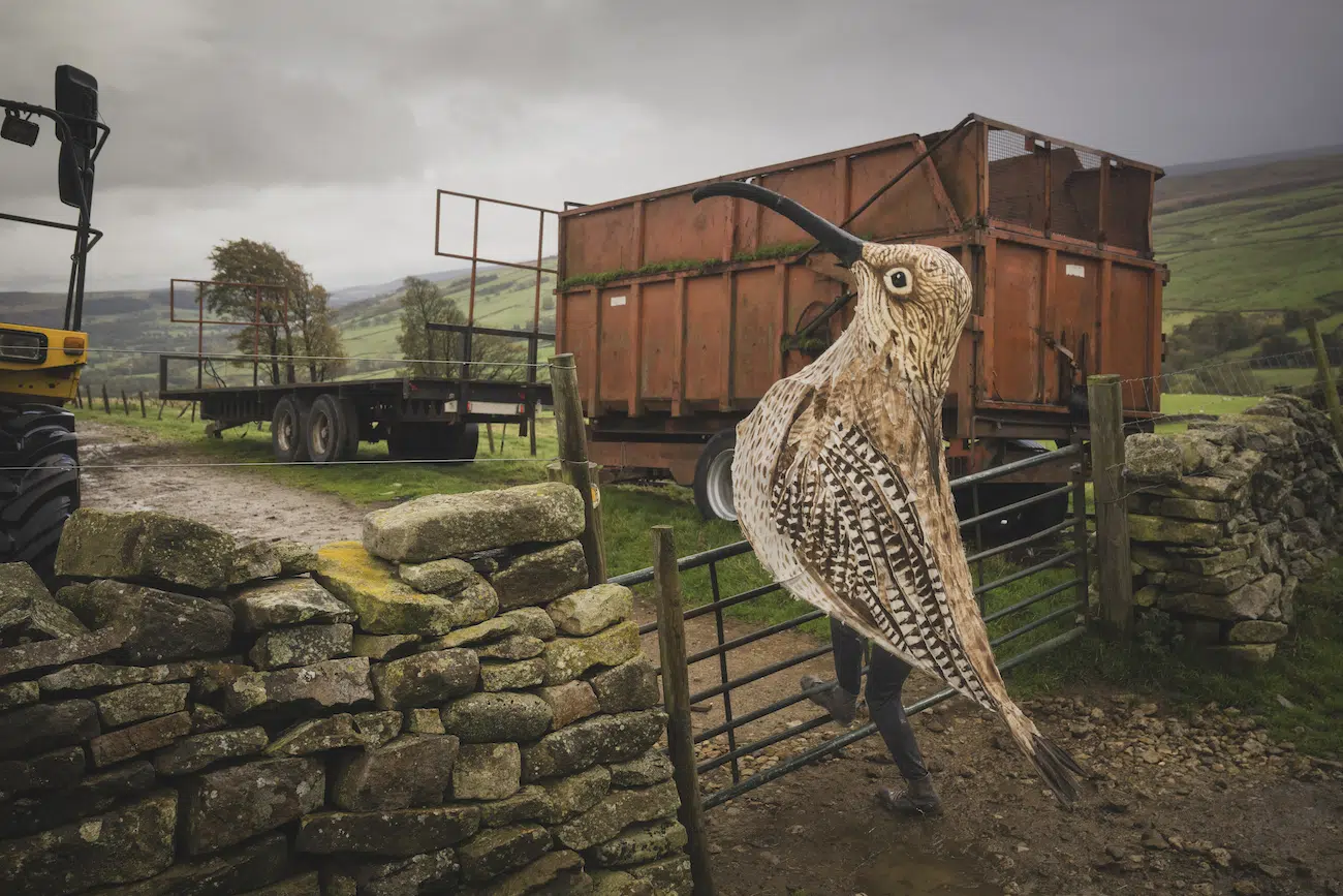 &ldquo;Curlew Man&rdquo; by Morgan Heim. Runner-Up, Changemakers, 2026 Environmental Photography Award.
