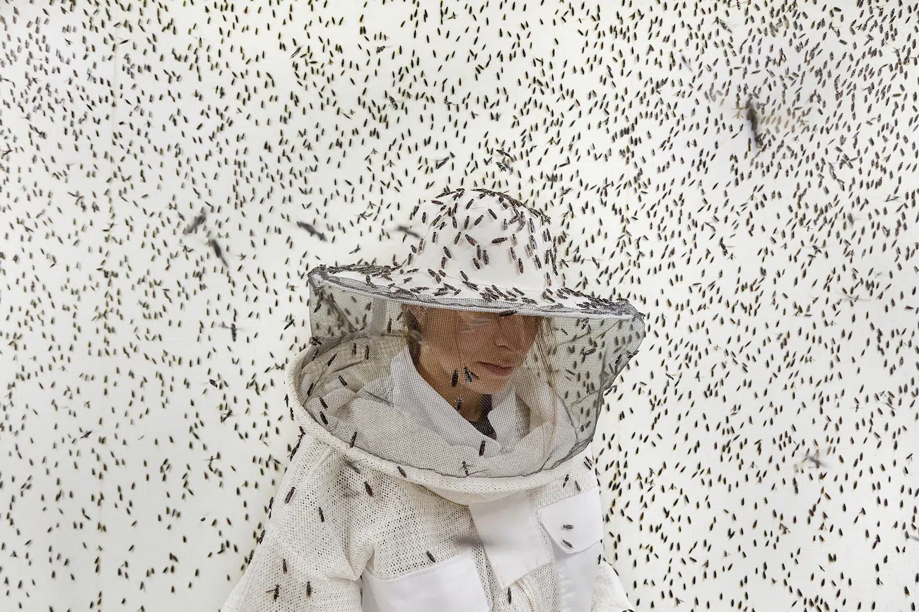 &ldquo;Insects, Architects of a Sustainable Future&rdquo; by Maud Delaflotte. Runner-Up, Changemakers, 2026 Environmental Photography Award.