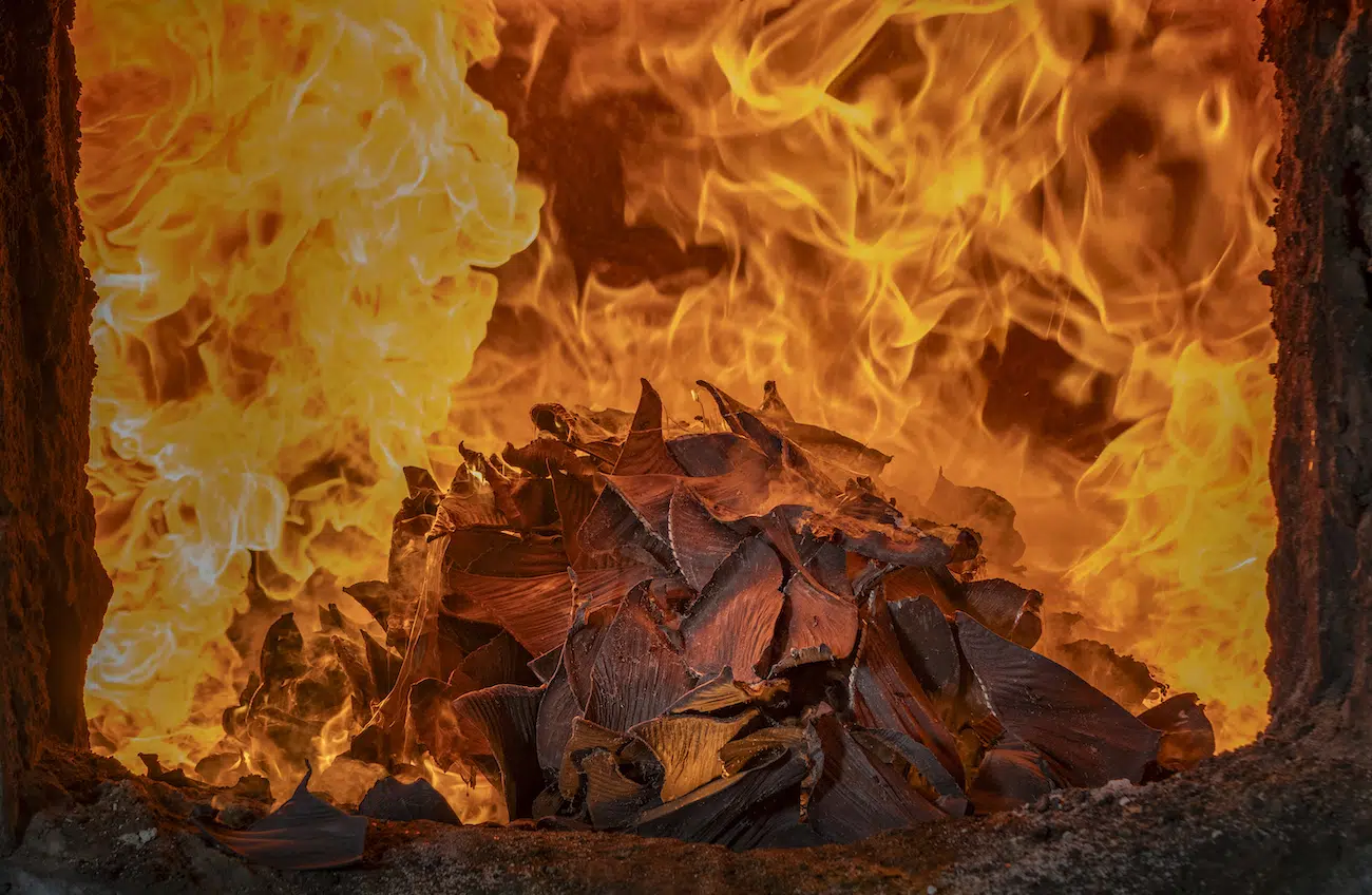 &ldquo;Born for the Ocean, Fated to the Flames&rdquo; by Fernando Faciole. Category Winner, Humanity vs Nature, 2026 Environmental Photography Award.