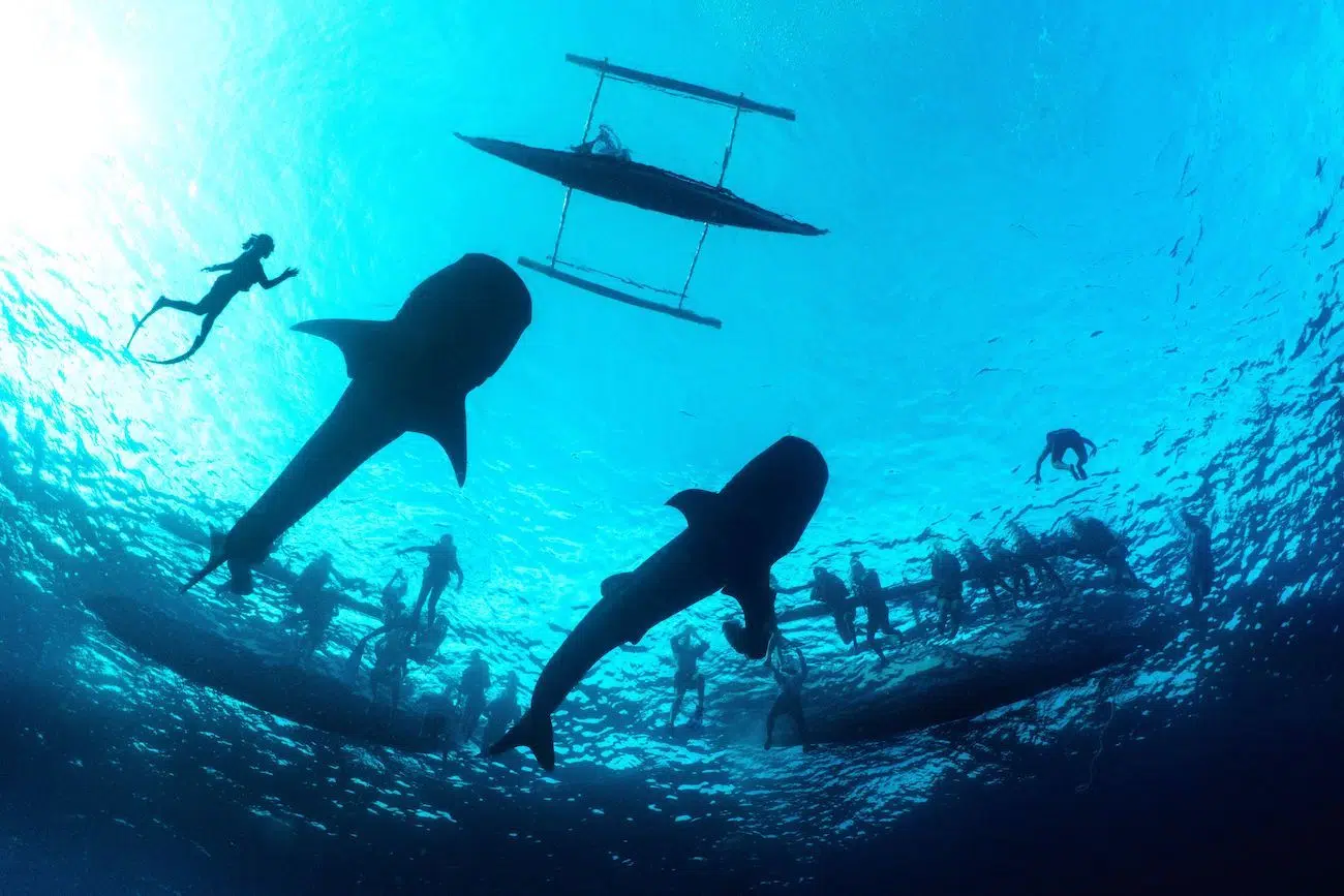 &ldquo;Conservation vs Tourism&rdquo; by Peter McGee. Runner-Up, Humanity vs Nature, 2026 Environmental Photography Award.