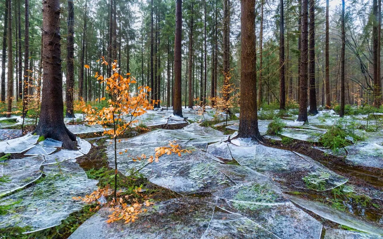 GDT Nature Photographer of the Year 2026