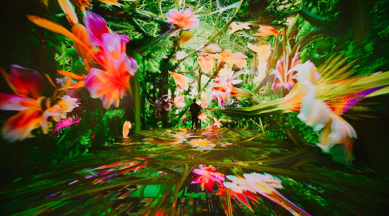 DATALAND in Los Angeles