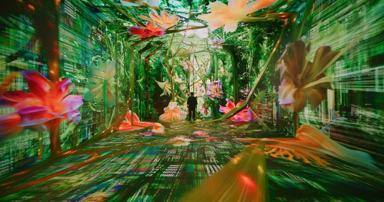 DATALAND in Los Angeles