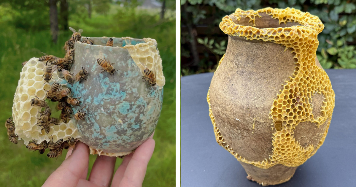 Artist Works With Bees To Repair Broken Ceramics in Kintsugi-Inspired Honeycomb Pottery