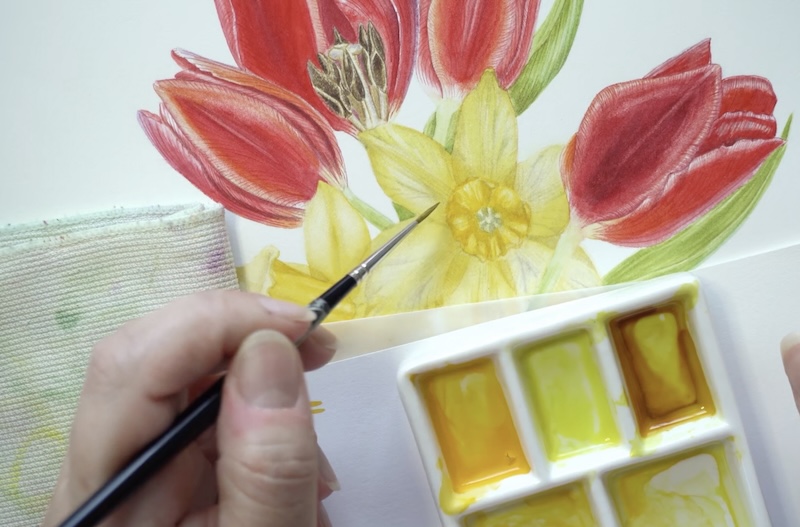Botanical Watercolors Class on My Modern Met Academy