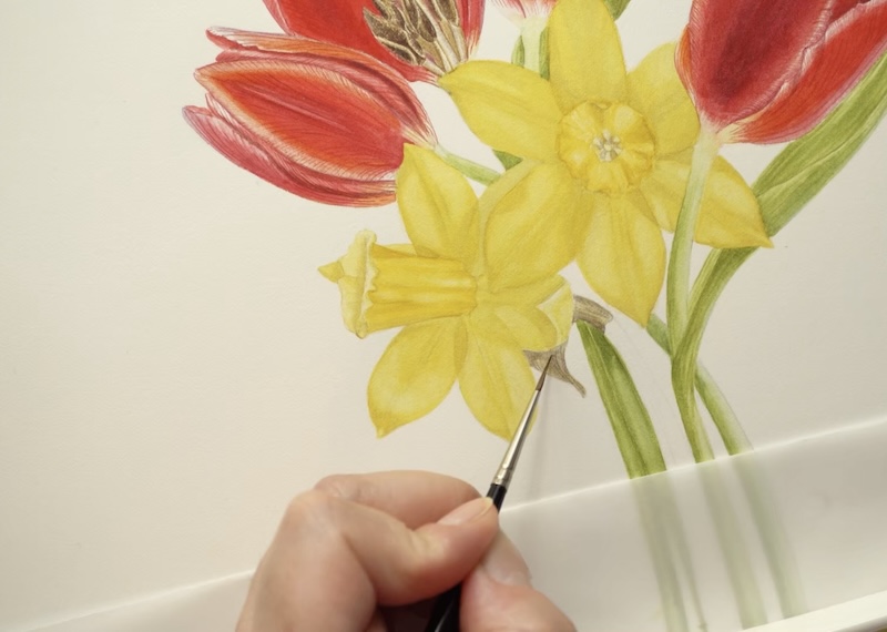 Botanical Watercolors Class on My Modern Met Academy