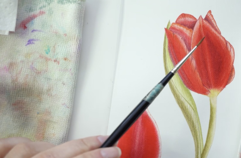 Botanical Watercolors Class on My Modern Met Academy