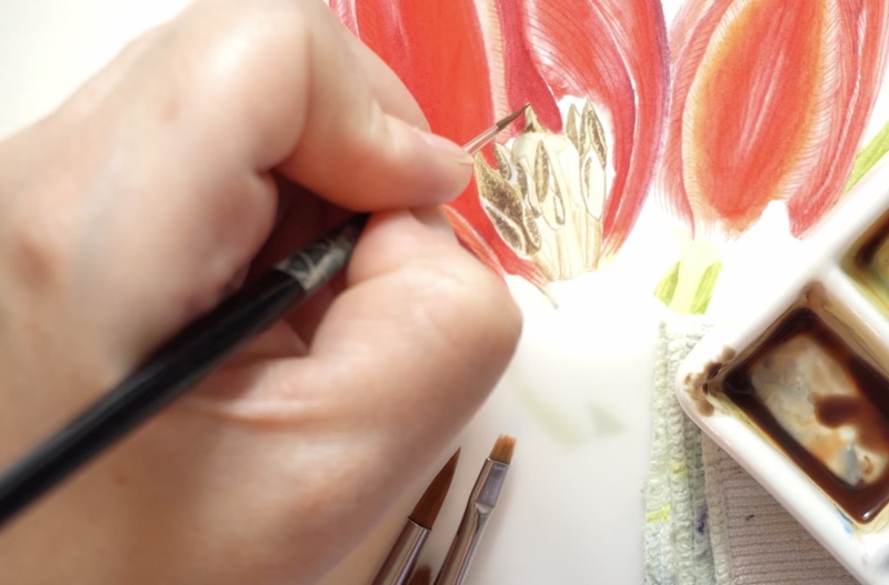 Botanical Watercolors Class on My Modern Met Academy